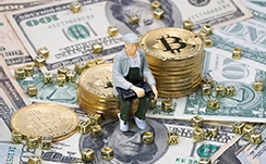 泉州开通了巴西首条外贸散货航线